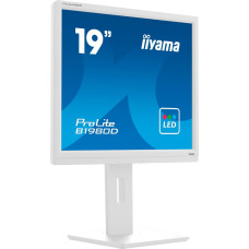 Iiyama B1980D-W5, LED monitor - 19 - white, VGA, DVI