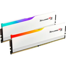 G.skill DDR5 - 48GB - 5600 - CL - 40 (2x 24 GB) dual kit, memory (white, F5-5600J4040D48GX2-RM5RW, Ripjaws M5 RGB, INTEL XMP)