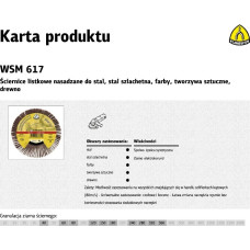 Klingspor ŚCIERNICA LISTKOWA NASADZANA 125mm WSM617 gr. 80