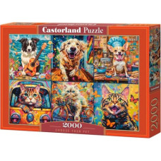 Castor Puzzle 2000 elements Dog Cat Choose Your Pet