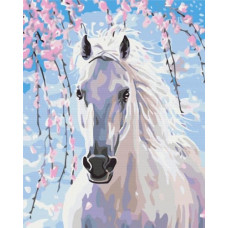 Symag Picture Paint it! Painting by numbers Horse in cherry blossoms