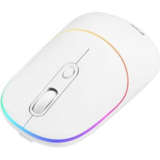 Tracer Mouse TRACER RATERO RF 2.4 Ghz white