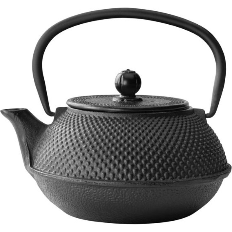 Bredemeijer Teapot Jang 0,8l cast iron black + Filter G001Z