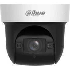 Dahua NET CAMERA 4MP PTZ DOME/SD29404DB-GNY DAHUA