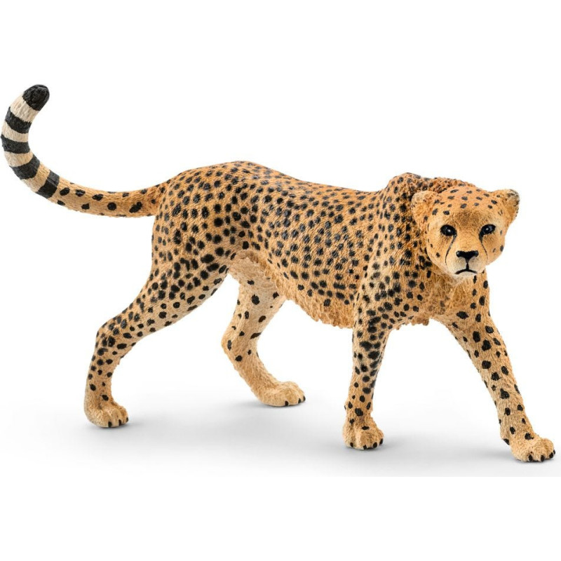 Schleich WILD LIFE 14746 žaislinė figūrėlė vaikams