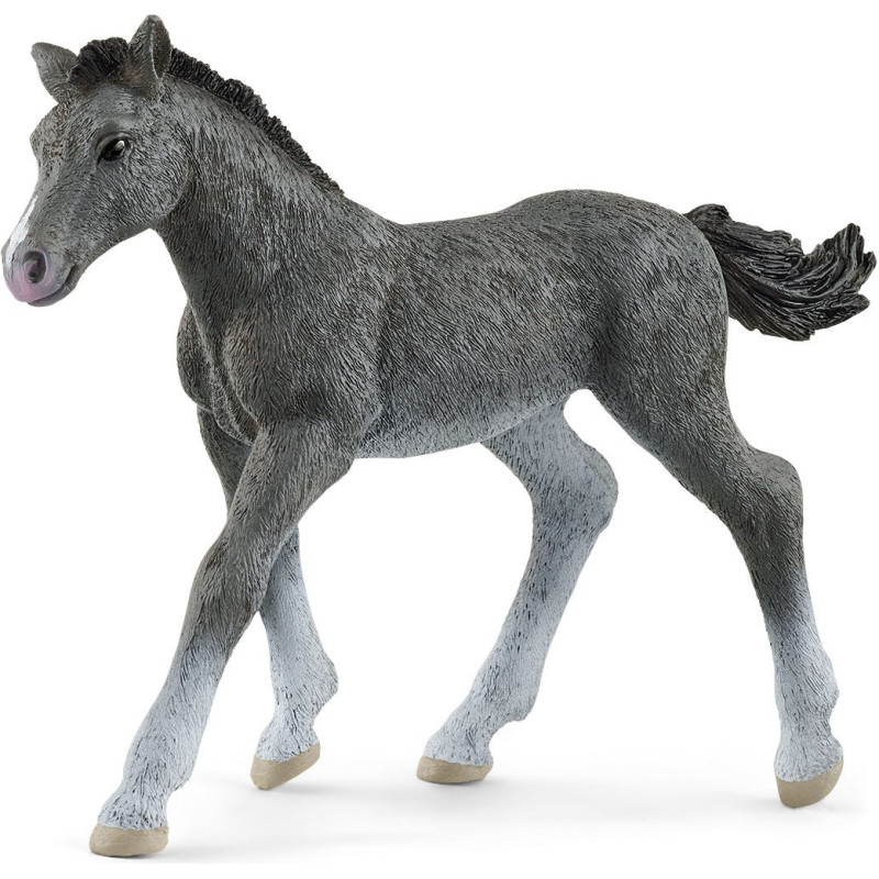 Schleich HORSE CLUB Trakehner Foal