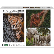 Ambassador Wildlife Families 3x 1000 Pieces (Donal Boyd)