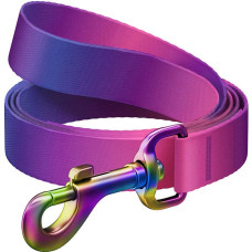 Waudog gradient nylon dog leash, 15mm wide, 122cm long, purple