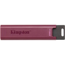 Kingston MEMORY DRIVE FLASH USB3.2/256GB DTMAXA/256GB KINGSTON