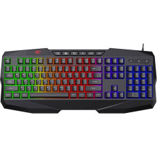 Havit Gaming Keyboard Havit KB878L RGB (black)